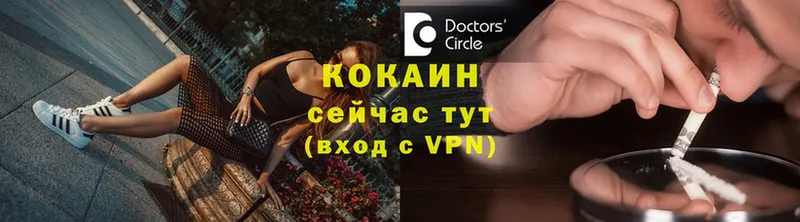 где можно купить наркотик  Петухово  COCAIN 98% 